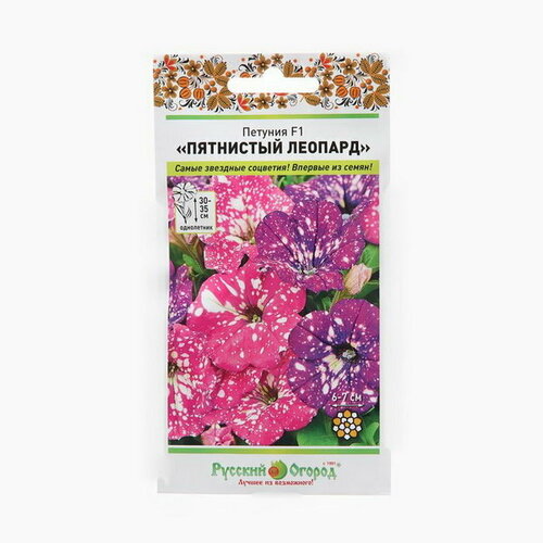 ���� ������ ������ ������� 