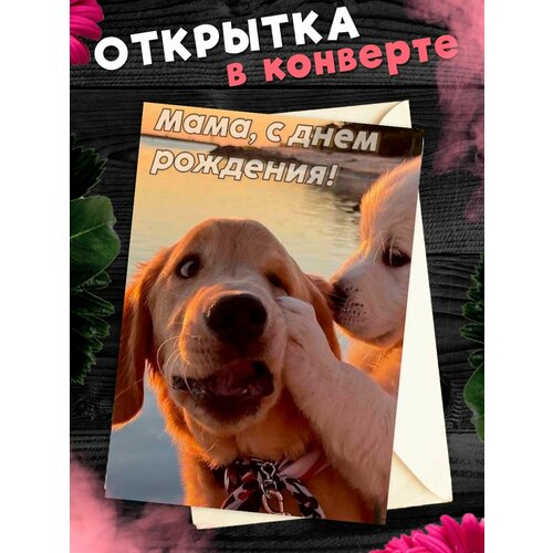 ���� �������� �6 � �������� � ���� ��������, ����!, ������ �� 250 ���