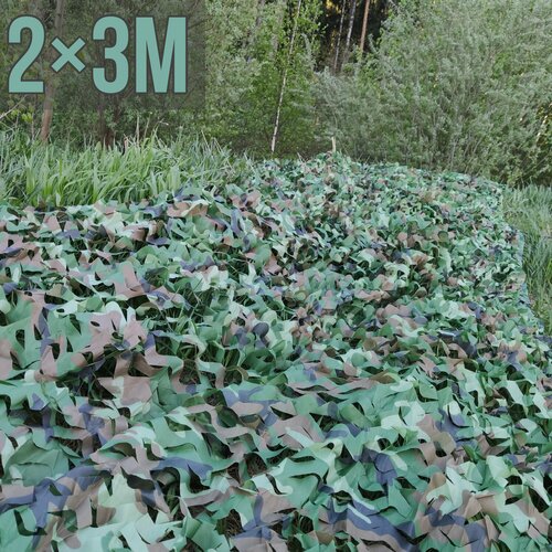 ���� ������������� ���� 2?3 � ����������� � �������, ������ �� 2250 ���