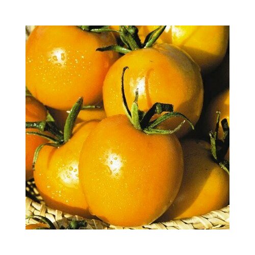 ���� ������ ����� �� ����� ������� 20�� ����� ������� (����time), ������ �� 44 ���