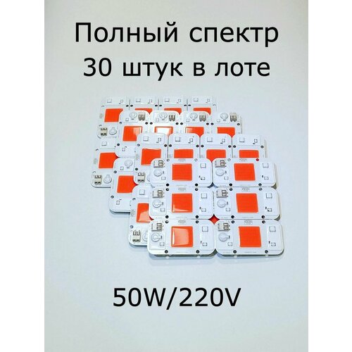  30   YXO DOB 4075-50W  50W/220V.   30 !,   10100 