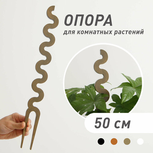 ���� ����� ��� �������� �������� 