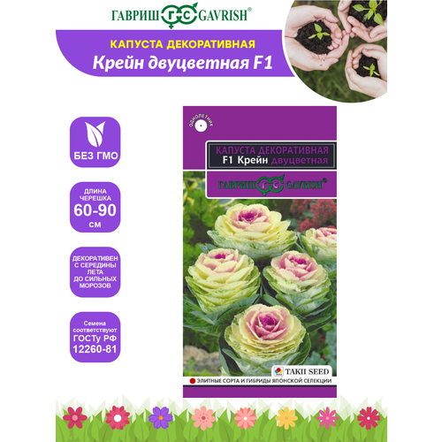 ���� ������ ������� ������������ ����� ���������� F1 - ����� ��������� 6 ��., ������ �� 361 ���