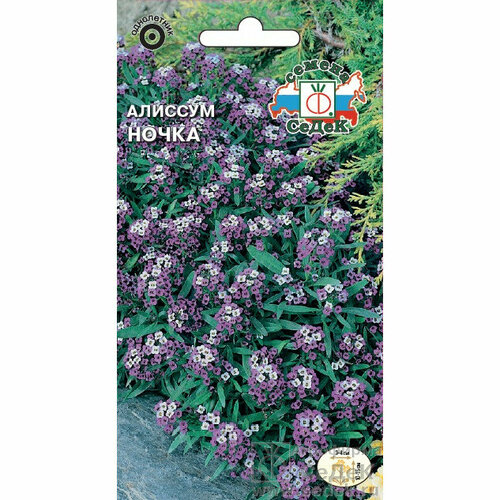 ���� ������ �������� ����� 