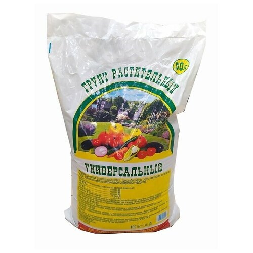 ���� ����� 