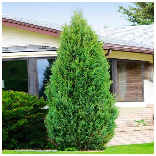 ���� ������ ��������� ������������ ���������� �������, 20 ��, ������ �� 336 ���