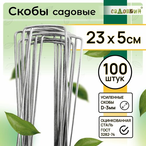 ���� ����� ������� �-�����, ������ 23�� � 5��, d-3��, (100 ��), ������ �� 989 ���