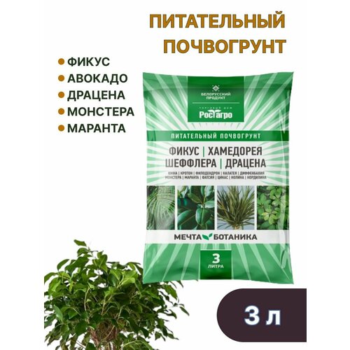 ���� ����� ��� ������ ������� �������� ����� �������� 3 �., ������ �� 429 ���