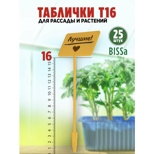       , Bissa 16, , 25 ,   655 