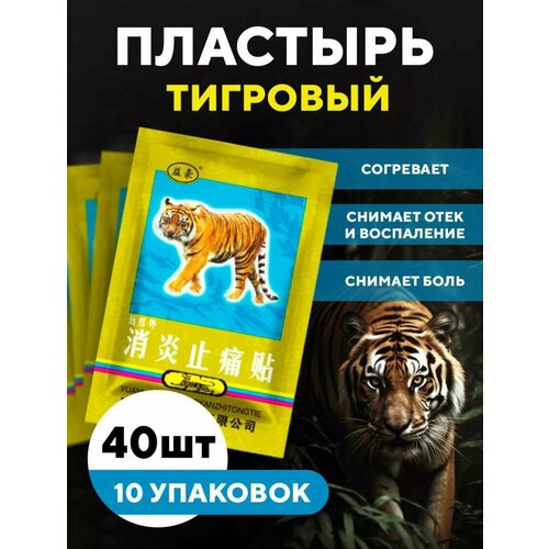 ���� �������� �������� 40 ��, ������ �� 461 ���