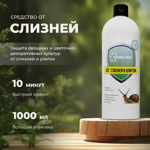 ���� ������� - �������� �� ������� � ������, ������ �� 361 ���