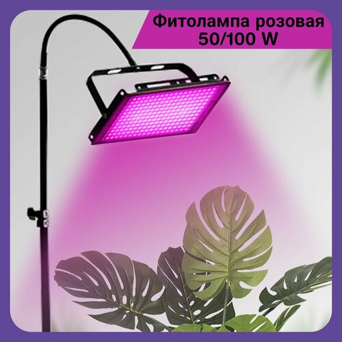 ���� ��������� ����� ��� �������� ������� ����������������� 100 ��, ������ �� 1735 ���