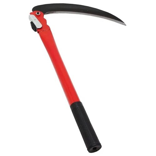 ���� ���� ������� � ������ 40 �� 