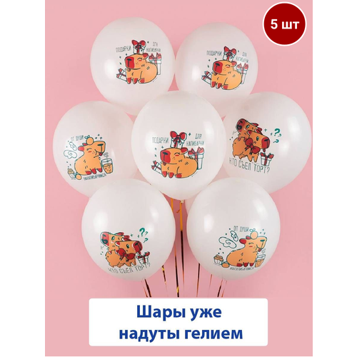 ���� ��������� ���� � ������ �� ��������, ���� �������� �������� 5 ��, ������ �� 890 ���