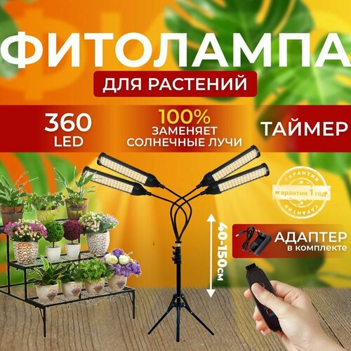 ���� ��������� ��� ����������� �������� ������� ������ ������ �������������� �������� ������������ ��� ������ �� ������� � ��������, 4 �����, ������ �� 6100 ���