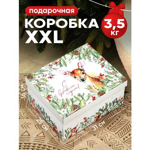 ���� ������� ���������� �� ����� �����!�, 31 � 25 � 16 ��, ���������� �������, ������ �� 337 ���