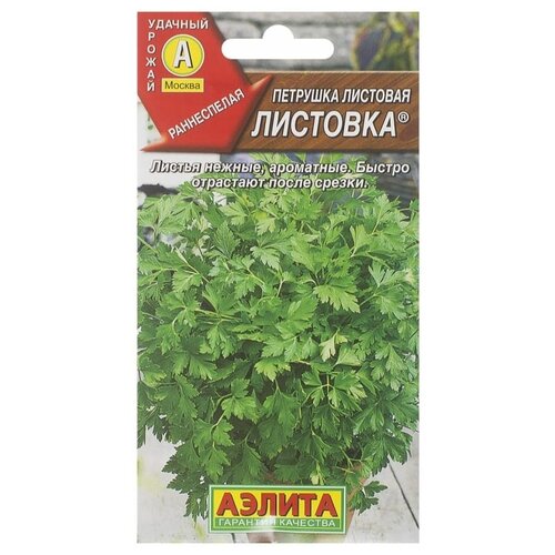 ���� ������ �������� �������� 