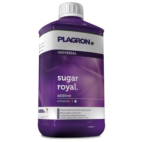  Sugar Royal 500,   6202 