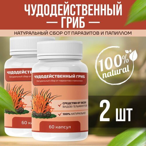 ���� ��������������� ���� ���� �� ��������� � ��������, ������ �� 1200 ���