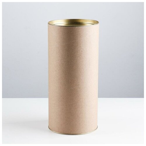 ���� ����� 120�260 �� (240 �� �����. ������), ������, ������������� ������, ������ �� 398 ���