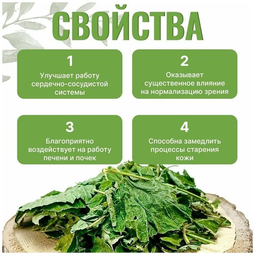 ���� ����� ����� ��������� (�������, �������, �������), ����, 250 ��, ������ �� 1122 ���