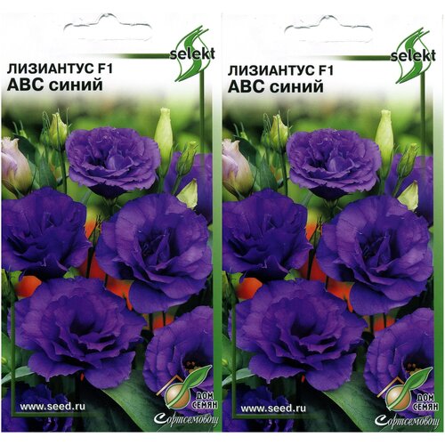 ���� ��������� F1 (�������) ���, �����, 2 �������� �� 5 �����, ������ �� 377 ���