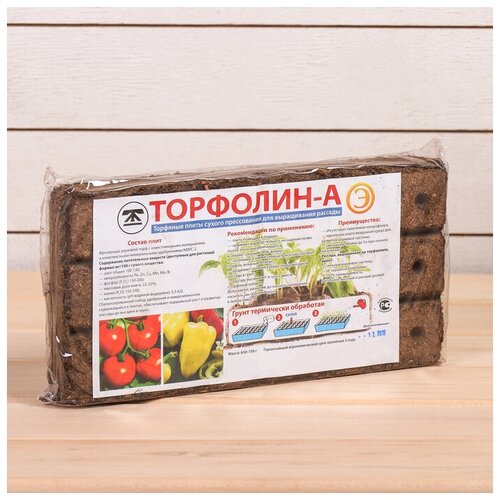 ���� �������� �������� 18 �����, 