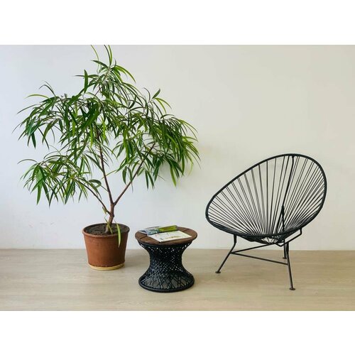 ���� ������ �������, ����������, ������ �� 6143 ���