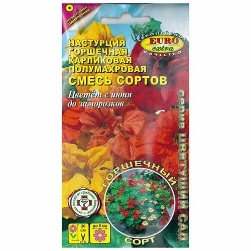 ���� ������ ��������� ��������� ���������� ��������, �����, ����������, (������) 1� !, ������ �� 49 ���