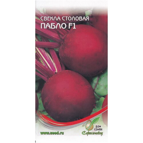 ���� ������ ����� F1, 100 �����, ������ �� 247 ���