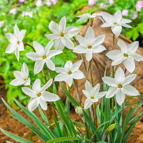 ���� ������ �������� �������� 10 ��., ������ �� 370 ���