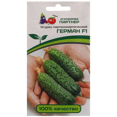 ���� ������ ������ ������� ������ F1 5 �����, ������ �� 280 ���