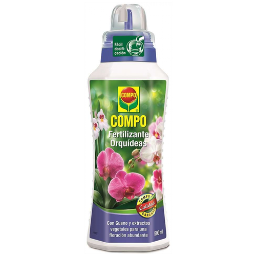 ���� ��������� ������ 