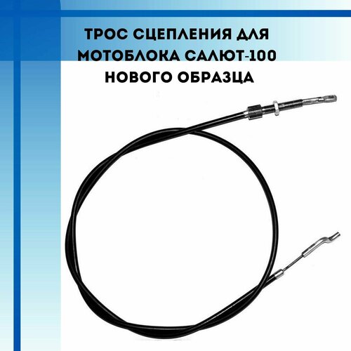 ���� ���� ��������� ��� ���������� �����, ���� (������ �������), ������ �� 1600 ���