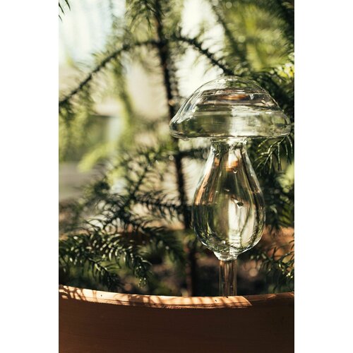 ���� ����� ���������� ������ 