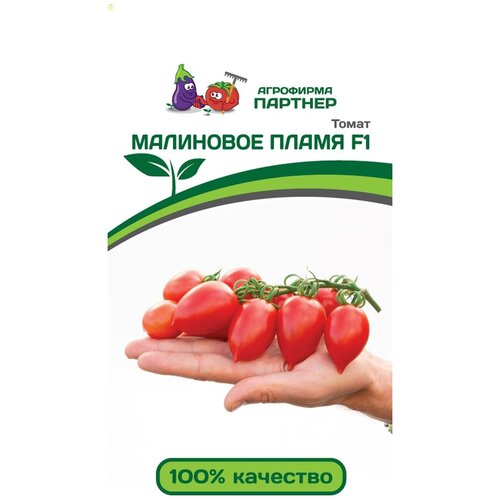 ���� ����� ����� 