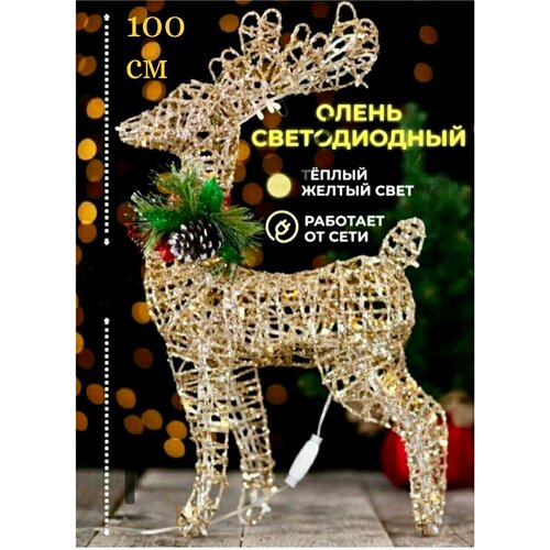 ���� ��������� ������������ ������ ����� Manufacture 100 ��, ������ �� 9000 ���