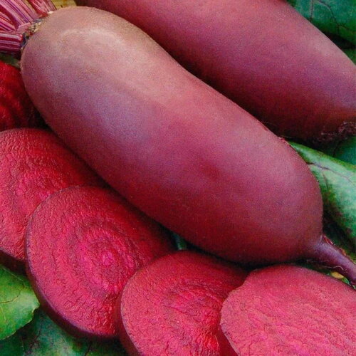 ���� ������ ����� ������ 3 ������ ����� ������� ������, ������ �� 43 ���