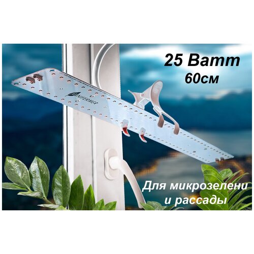 ���� ��������� ��� �������, ���������, ������ ������� ������� 2.2. g 5000K+660nm Quantum line 25��, 60 ��, ������ �� 2625 ���