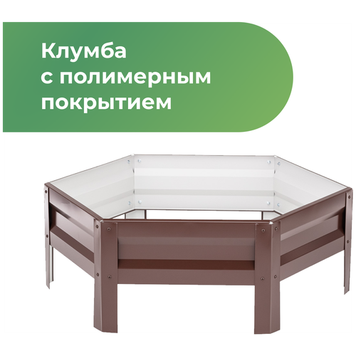 ���� ������ � ���������� ���������, ������� 1,0� (���������-����������), ������ �� 1580 ���