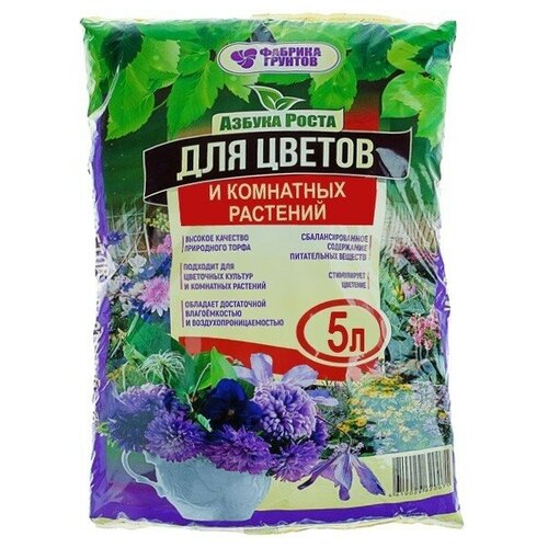 ���� ���������� 5� 