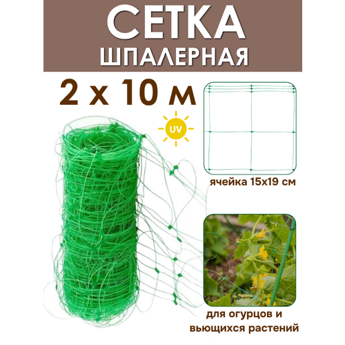 ���� ����� ��������� ������� 2�10 � (20 �2), ��� ��������� ������� � �������� �������� �� ProTent, ���� ����, ������ �� 855 ���