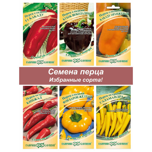 ���� ����� �����, ������ ����� ������� � ������, ������ �� 494 ���