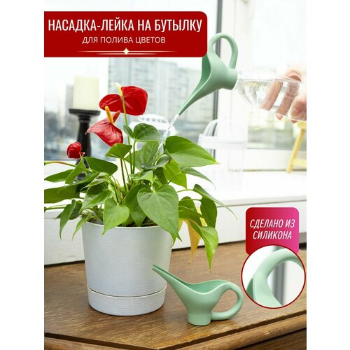 ���� ����� ������� ��� �������, 1��, ������ �� 308 ���