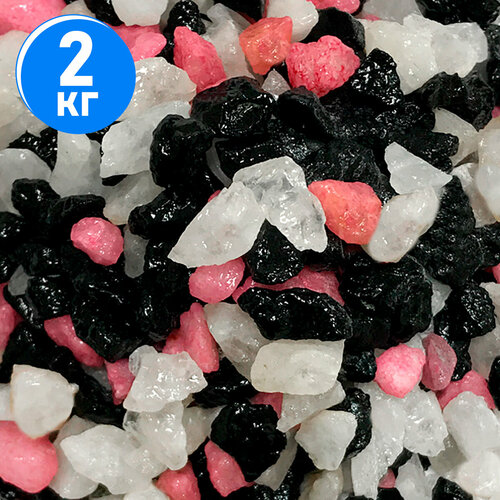 ���� ����������� ����� ��� ��������, ����������� � ��������, Zoo One, ��������� ��������, 