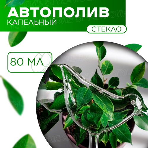 ���� ����� ��� �������� / ����� ��� ������ ������ / ������� ������ 