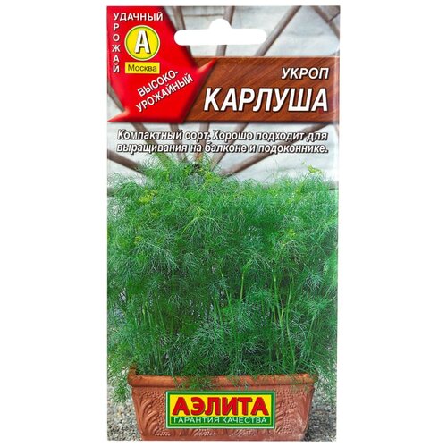 ���� ������ ����� 