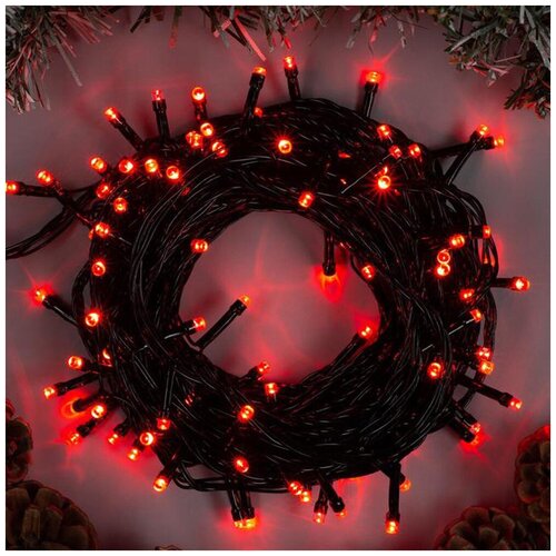 ���� �������� Luazon Lighting ���� 3556794, 1 ��. � ������, 10 �, 100 ����, �������/������ ������, ������ �� 803 ���