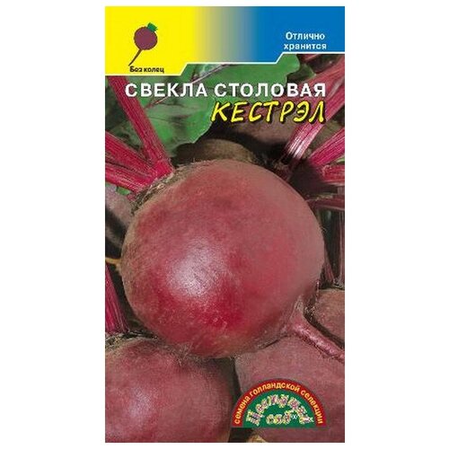 ���� ������ ������ ������� F1 25�� �������� (�������� ���), ������ �� 48 ���