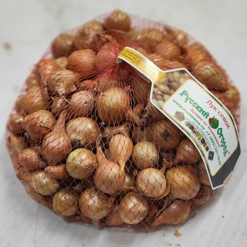 ���� ���-����� ����������� ����� 22/30 (����� 1��) ������, ������ �� 597 ���